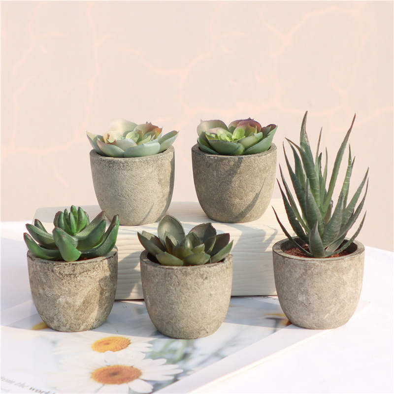 Bonsai Garden Sushi - Mini Yapay Aloe Bitkiler Bonsai Küçük