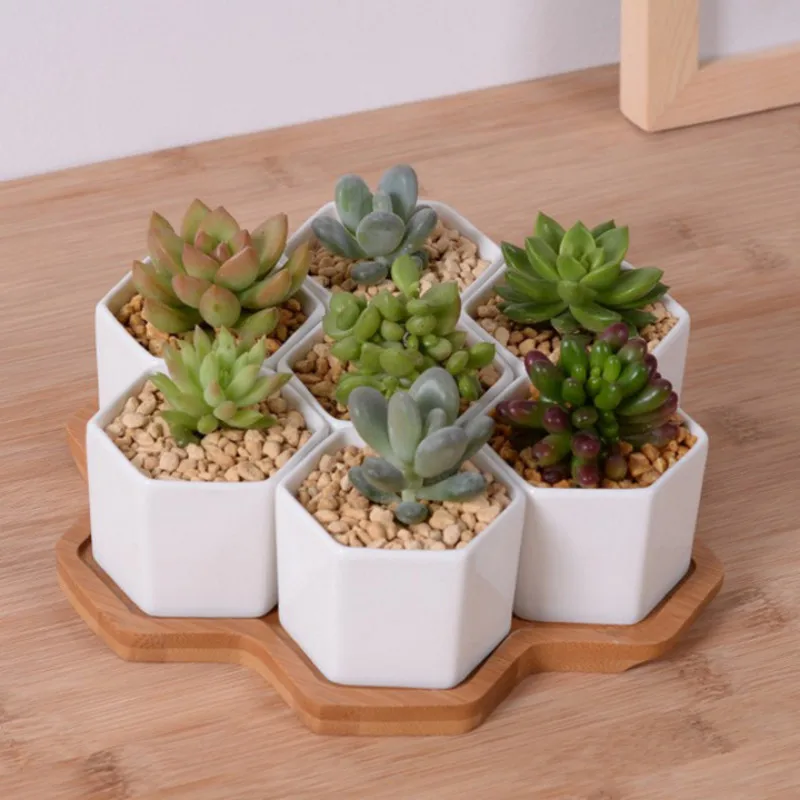 Mini Bonsai Zen Garden - 4/7/9/10 Altıgen Saksı Seti Beyaz Seramik