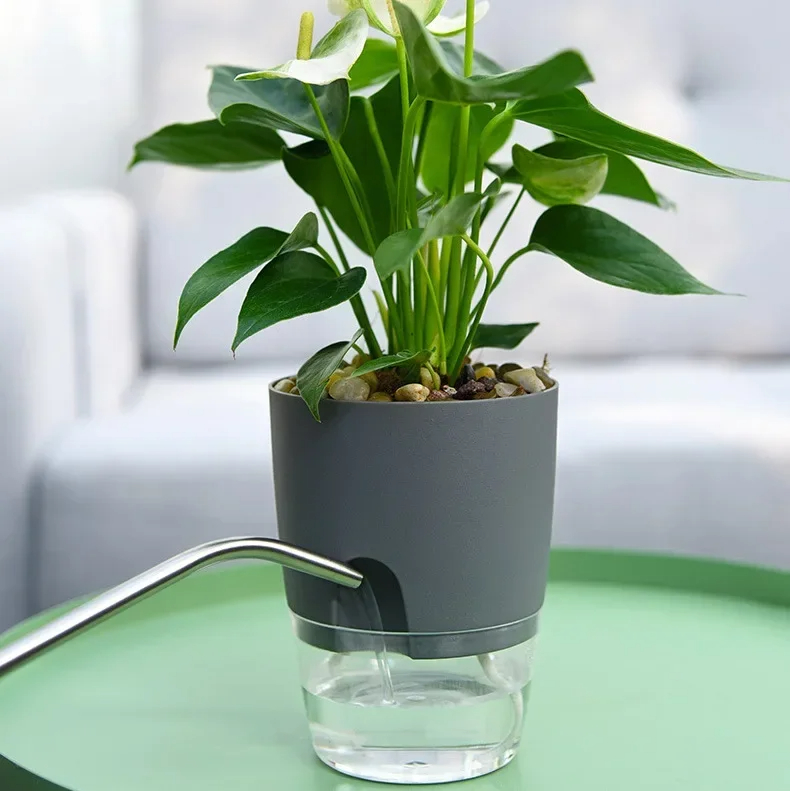 Şeffaf Çift Katmanlı Plastik S - Mini Bonsai Zen Garden incelemesi ve fiyatı