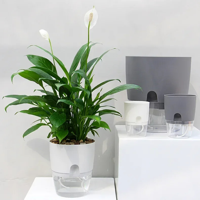 Şeffaf Çift Katmanlı Plastik S - Mini Bonsai Zen Garden incelemesi ve fiyatı
