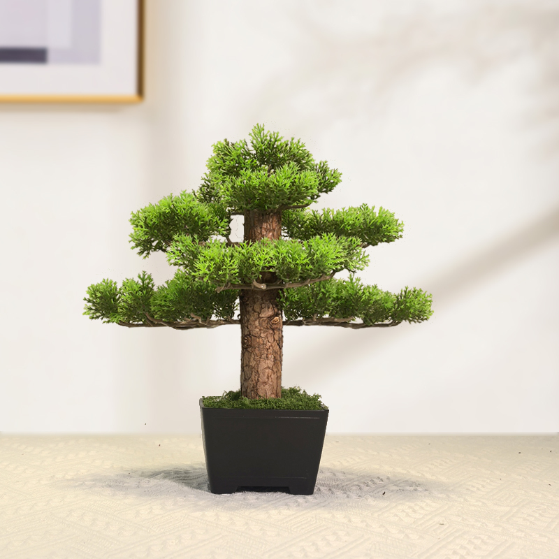 Yapay Bitki Bonsai, Simüle Ağa - Bonsai Garden Sushi incelemesi ve fiyatı
