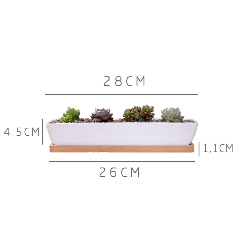 Uzun Dikdörtgen Beyaz Seramik  - Mini Bonsai Zen Garden incelemesi ve fiyatı