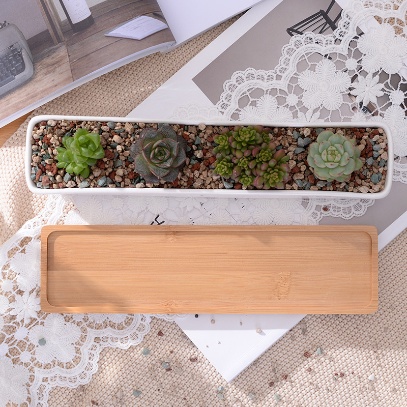 Uzun Dikdörtgen Beyaz Seramik  - Mini Bonsai Zen Garden incelemesi ve fiyatı