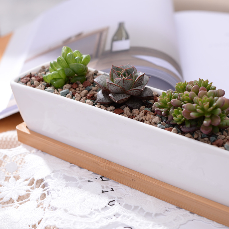 Uzun Dikdörtgen Beyaz Seramik  - Mini Bonsai Zen Garden incelemesi ve fiyatı