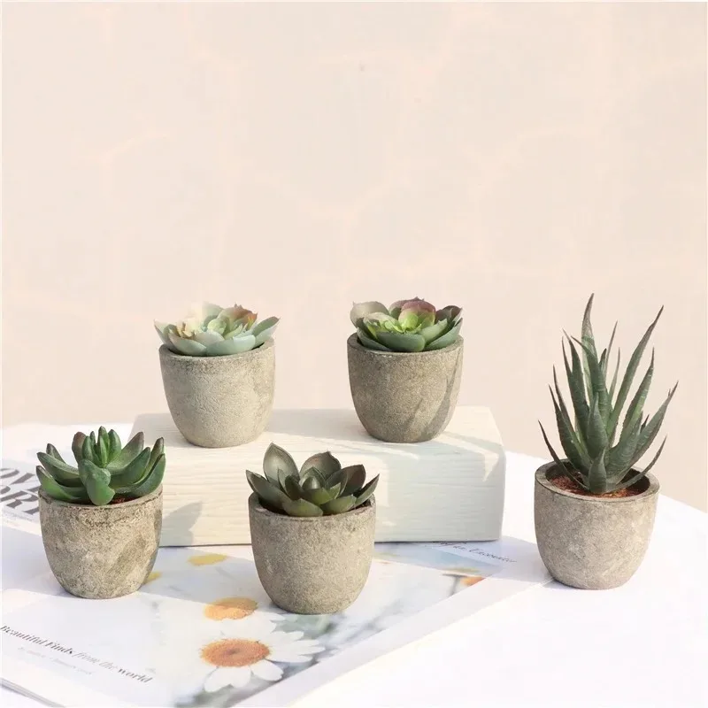 Mini Yapay Aloe Bitkileri Bons - Bonsai Garden Sushi incelemesi ve fiyatı