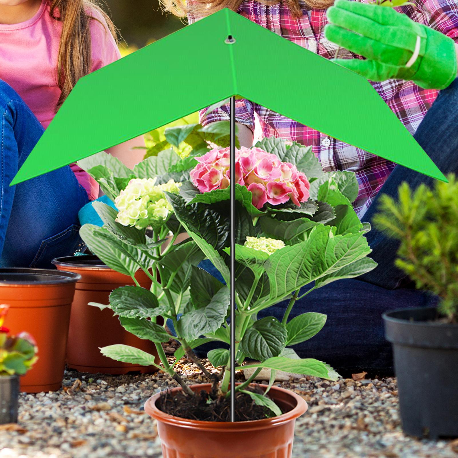 Bitki Şemsiyesi Anti-UV Isı Az - Bonsai Garden And Cafe incelemesi ve fiyatı
