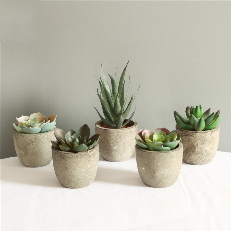 Mini Yapay Aloe Bitkiler Bonsa - Bonsai Garden Sushi incelemesi ve fiyatı