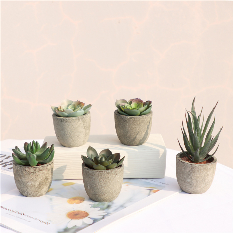 Mini Yapay Aloe Bitkiler Bonsa - Bonsai Garden Sushi incelemesi ve fiyatı