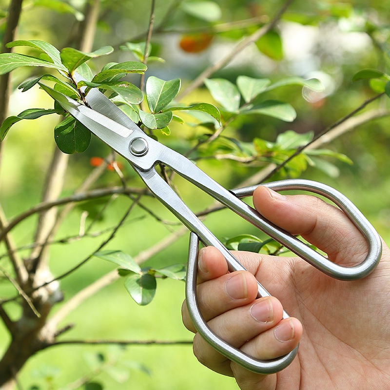 Yumuşak Yaprak Makası Bonsai A - Concave Branch Cutter incelemesi ve fiyatı