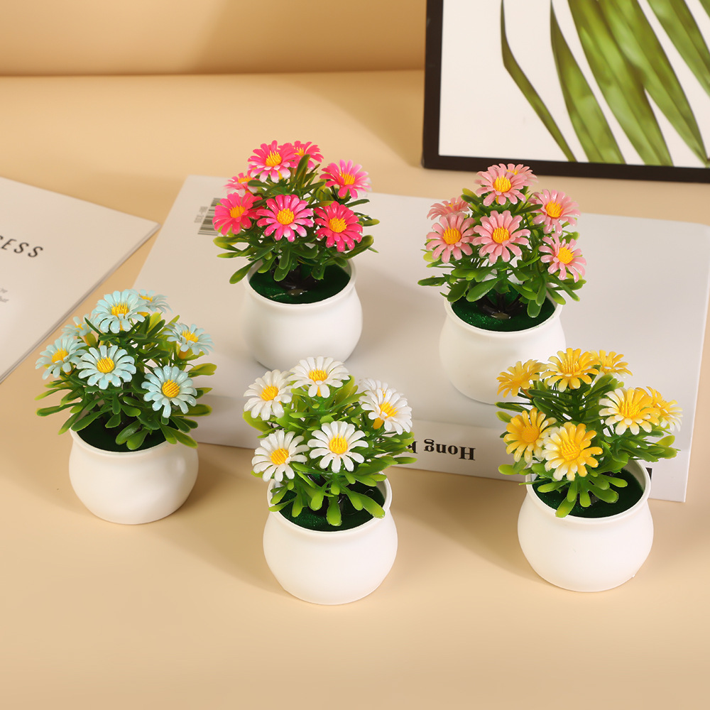 Ofis Dekoru Ev Dekoru Saksıda  - Bonsai Garden Sushi incelemesi ve fiyatı