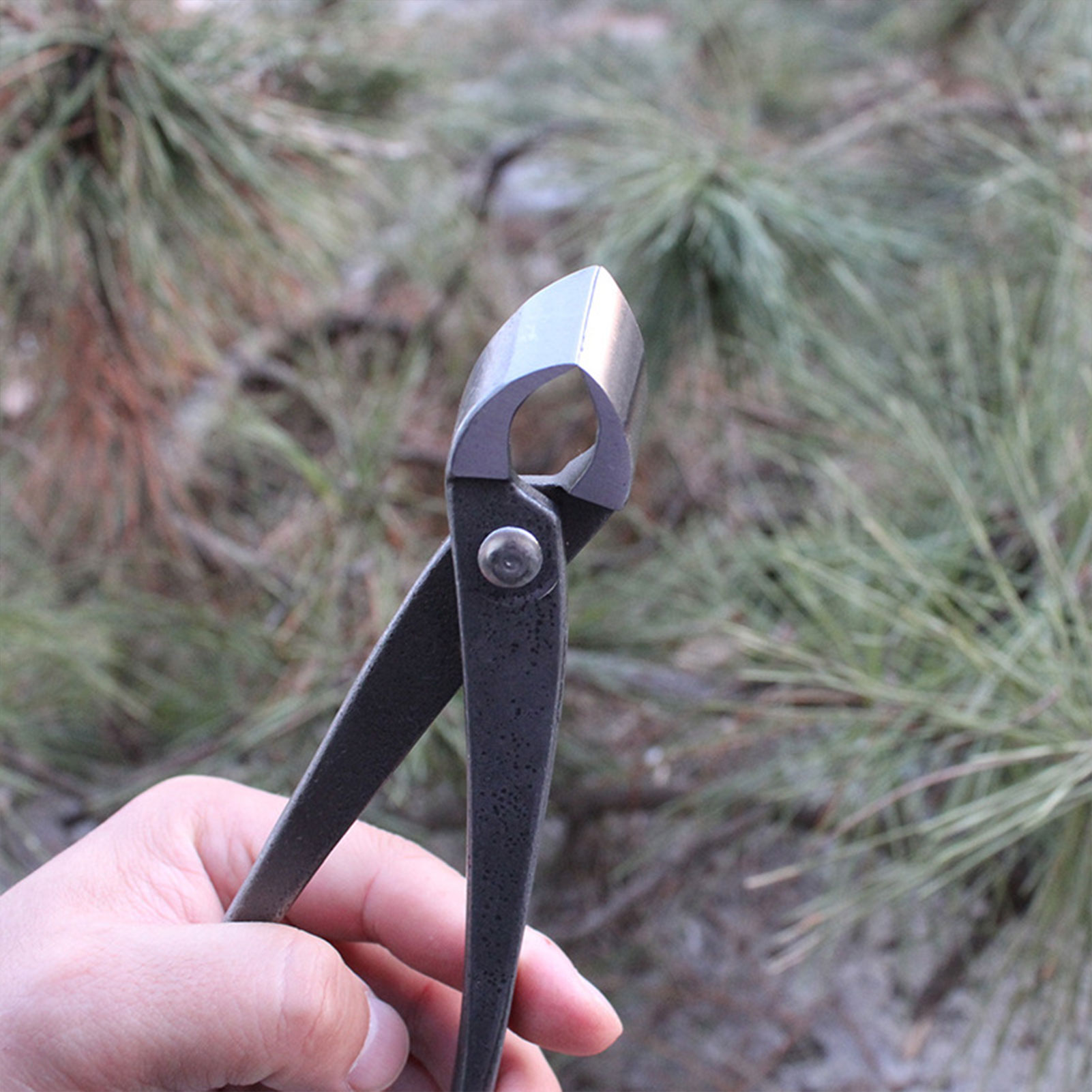 Bahçe Bonsai Topuzu Kesici İçb - Concave Branch Cutter incelemesi ve fiyatı
