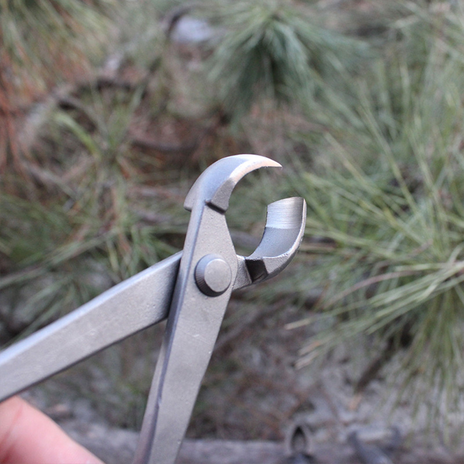 Bahçe Bonsai Topuzu Kesici İçb - Concave Branch Cutter incelemesi ve fiyatı