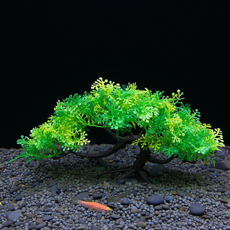 Akvaryum bonsai ağacı, bitki,  - Bonsai Garden Sushi incelemesi ve fiyatı
