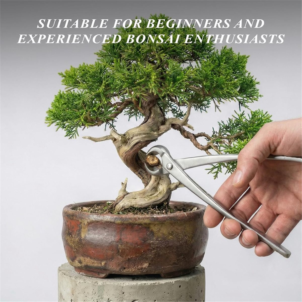 AWAH Bonsai Alet Seti - Yüksek - Concave Branch Cutter incelemesi ve fiyatı