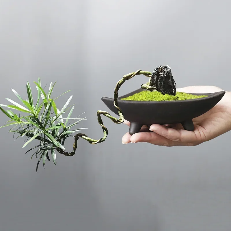 Bambu kapalı mikro peyzaj bitk - Mini Bonsai Zen Garden incelemesi ve fiyatı