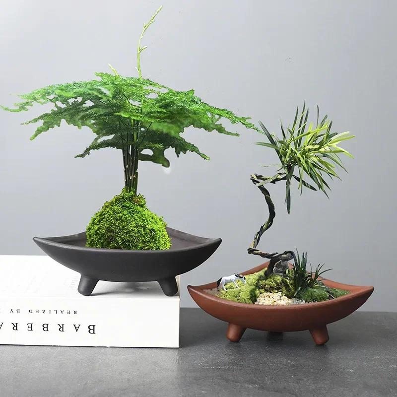 Bambu kapalı mikro peyzaj bitk - Mini Bonsai Zen Garden incelemesi ve fiyatı