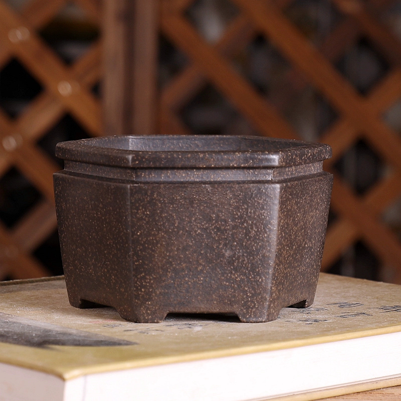 Altıgen Bonsai saksısı, mor ku - Bonsai Garden With Sand incelemesi ve fiyatı