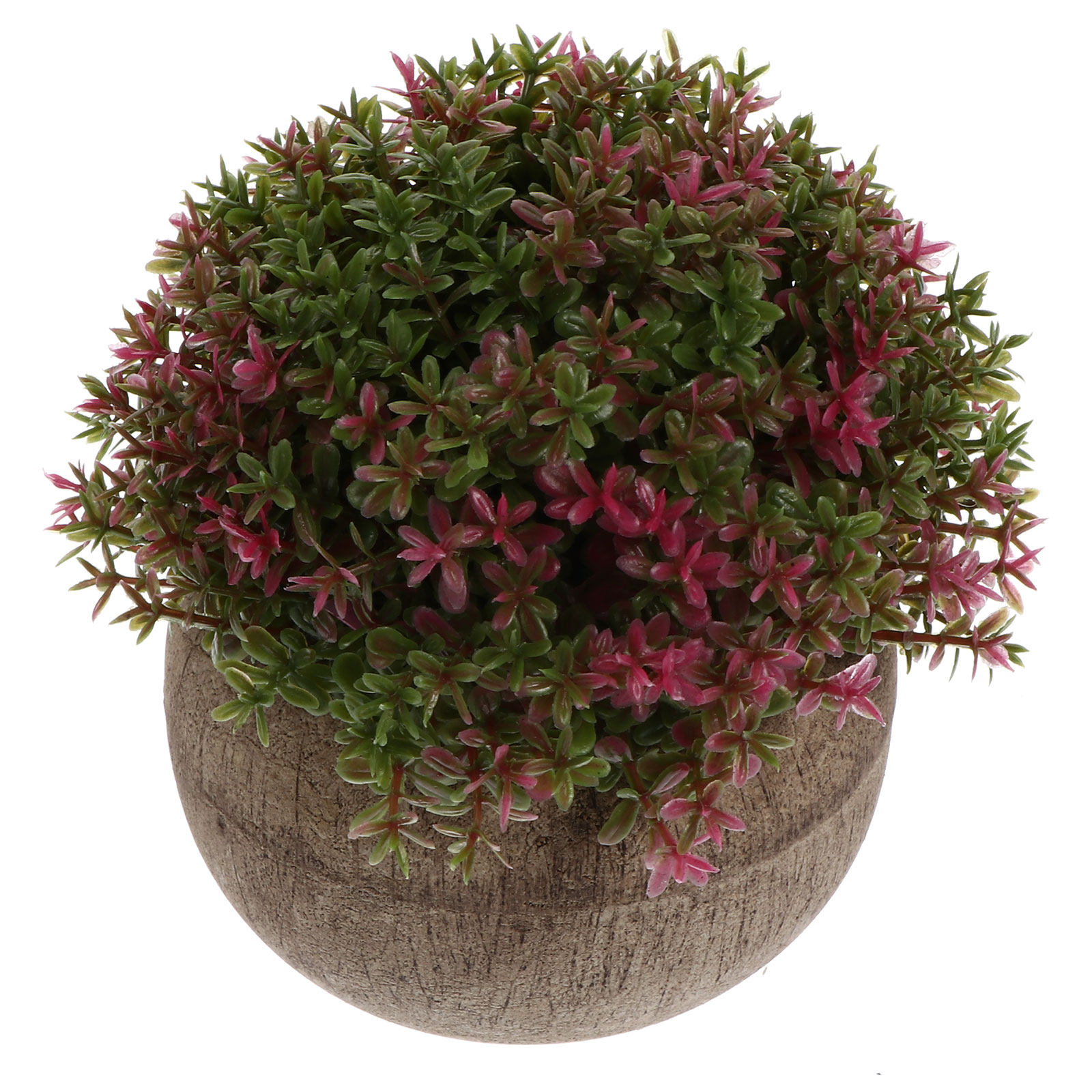 Mini Plastik Bonsai Gerçekçi S - Bonsai Garden And Cafe incelemesi ve fiyatı