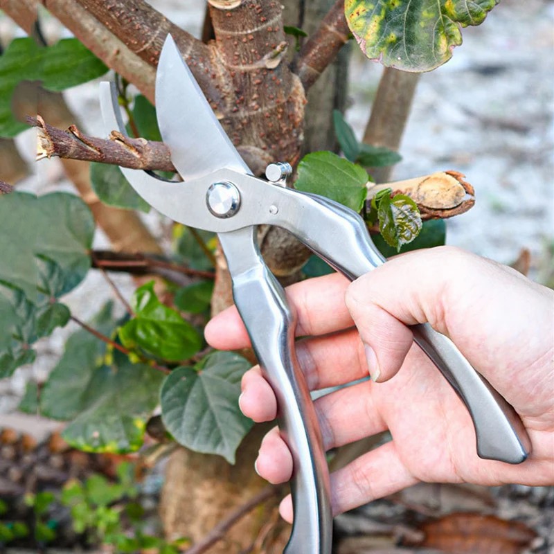 Tamamen Paslanmaz Çelikten Pro - Concave Branch Cutter incelemesi ve fiyatı
