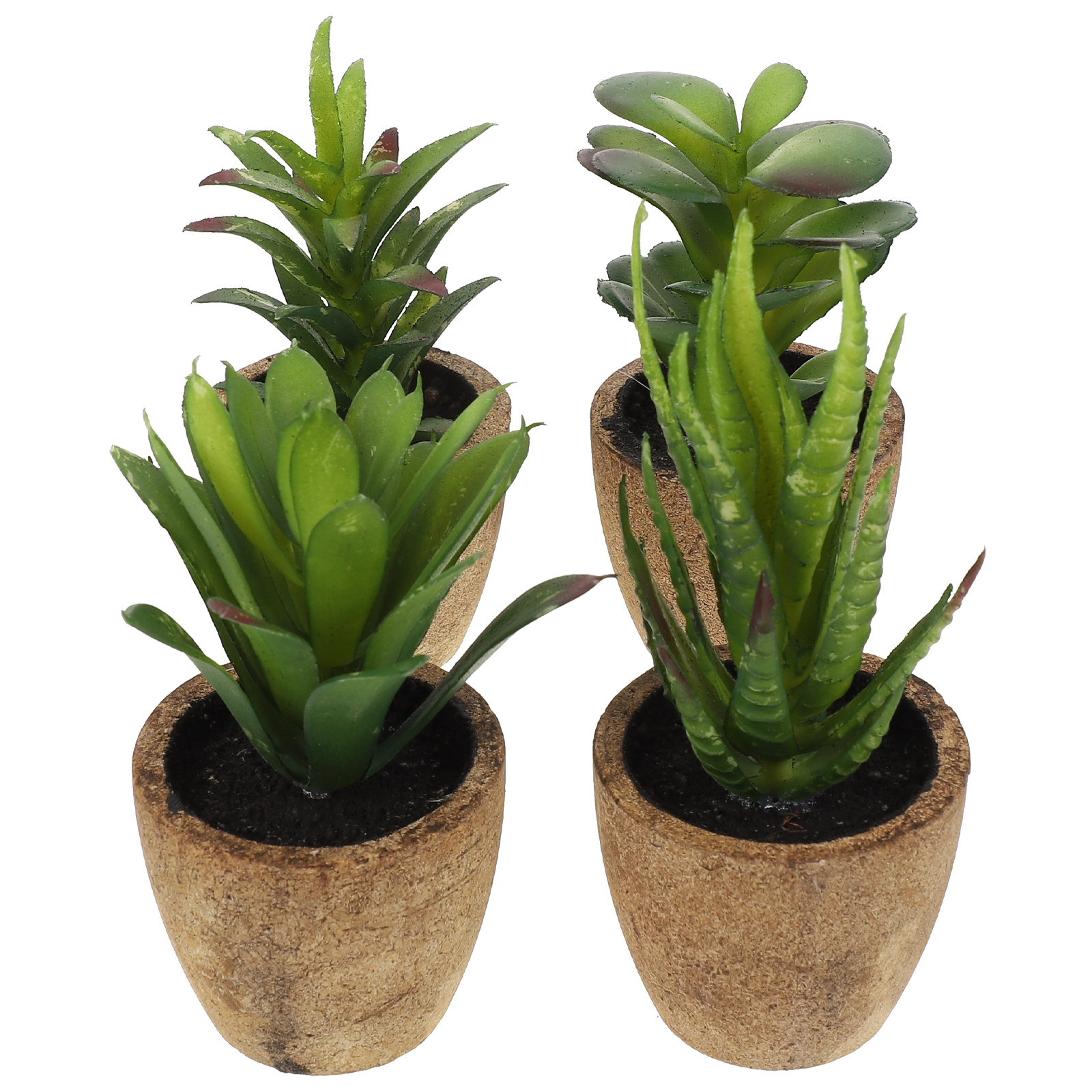 4 adet simülasyon etli bonsai  - Bonsai Garden And Cafe incelemesi ve fiyatı