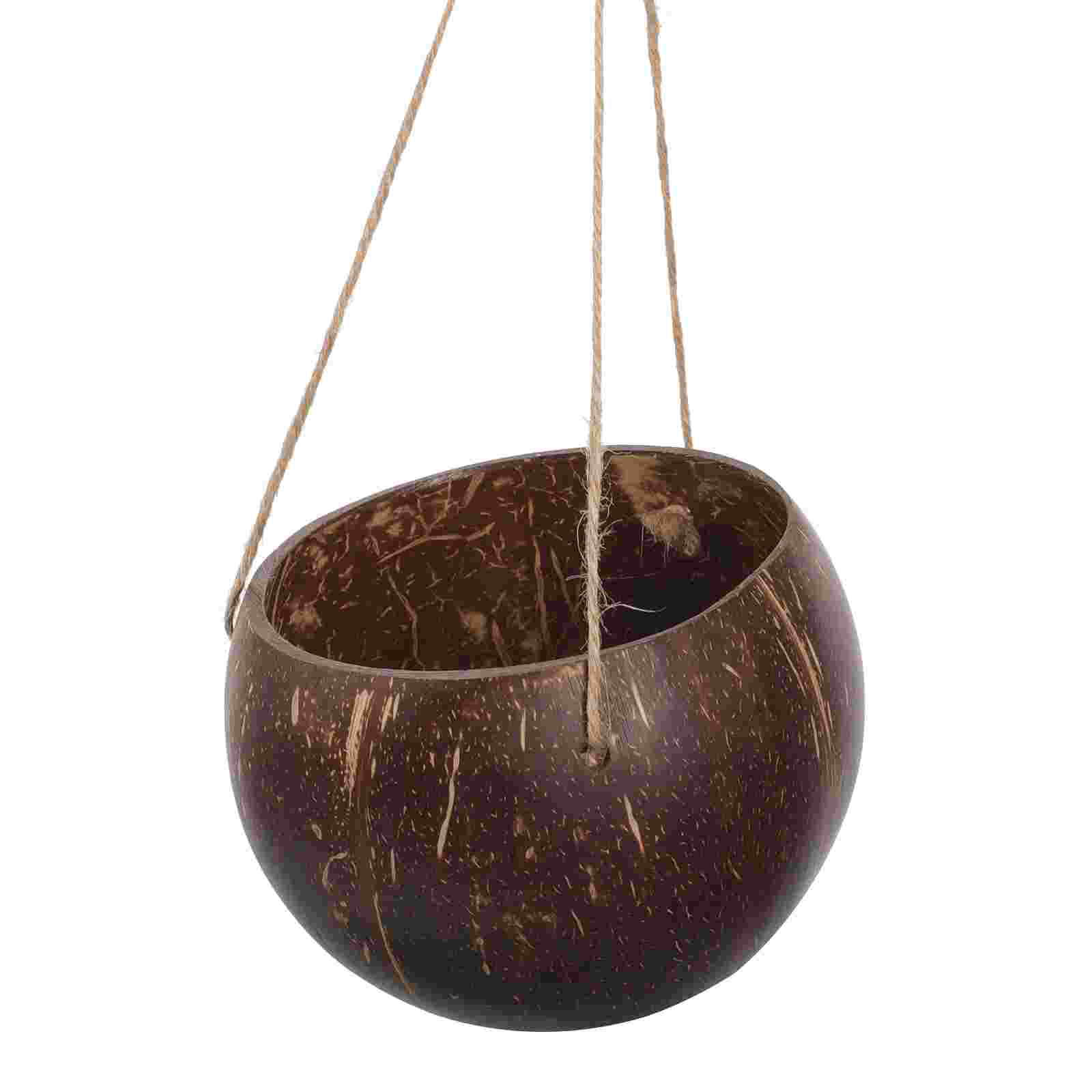 Kapalı Bitkiler için Doğal Hin - Mini Bonsai Zen Garden incelemesi ve fiyatı