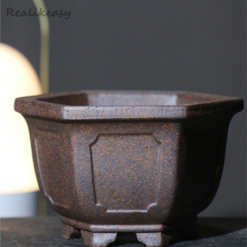 Mor kum saksı altıgen Bonsai s - Mini Bonsai Zen Garden incelemesi ve fiyatı